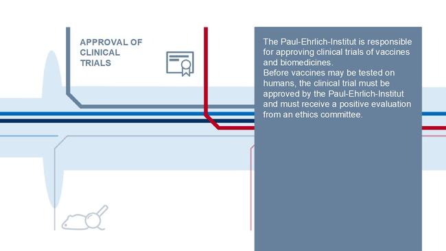 Tasks of the Paul-Ehrlich-Institut on the Vaccine Pathway - Infographics Tasks of the Paul-Ehrlich-Institut on the Vaccine Pathway - Infographics