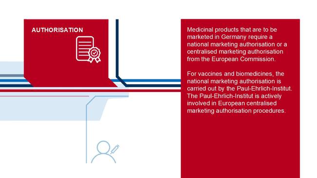 Tasks of the Paul-Ehrlich-Institut on the Vaccine Pathway - Infographics Tasks of the Paul-Ehrlich-Institut on the Vaccine Pathway - Infographics