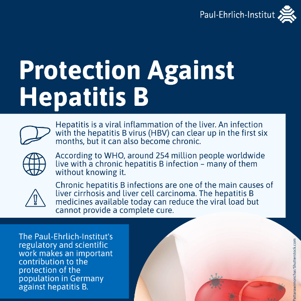 refer to: Protection Against Hepatitis B Infographic Protection agains Hepatitis B (refer to: Protection Against Hepatitis B)