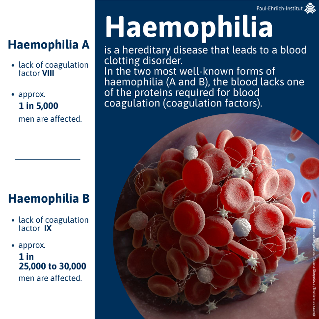 Infographic World Haemophilia Day 2023
