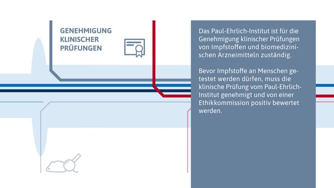 Aufgaben des Paul-Ehrlich-Instituts auf dem Weg zum Impfstoff - Infografik Aufgaben des Paul-Ehrlich-Instituts auf dem Weg zum Impfstoff - Infografik